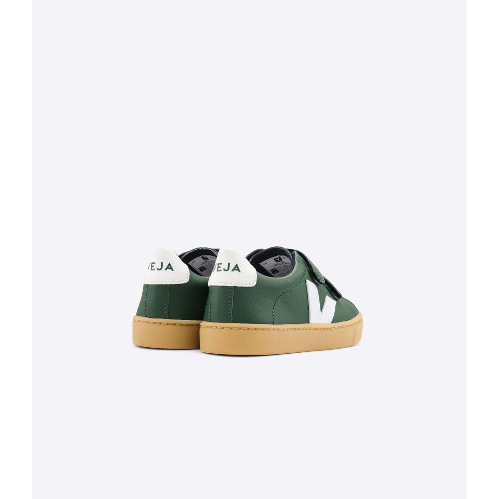 Kids' Veja ESPLAR LEATHER Shoes Green | SG 736TCE